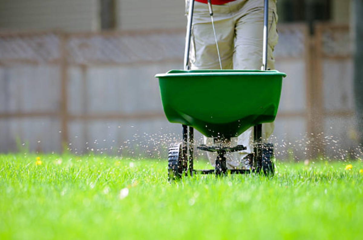 Fertilizing