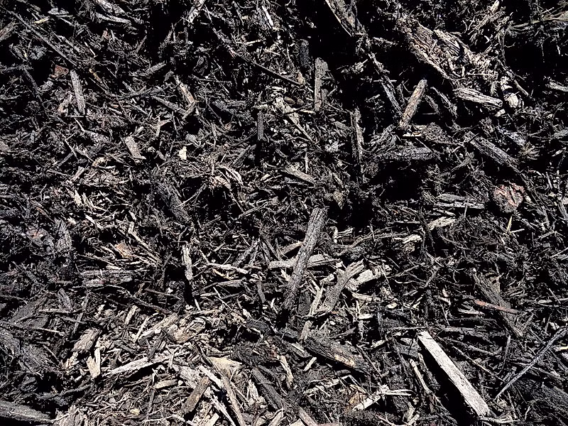 Black Mulch