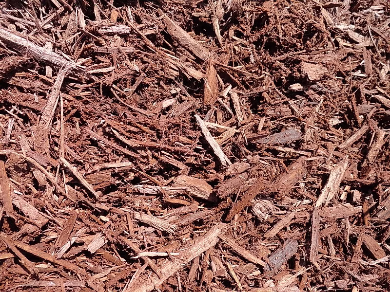 Chocolate Mulch
