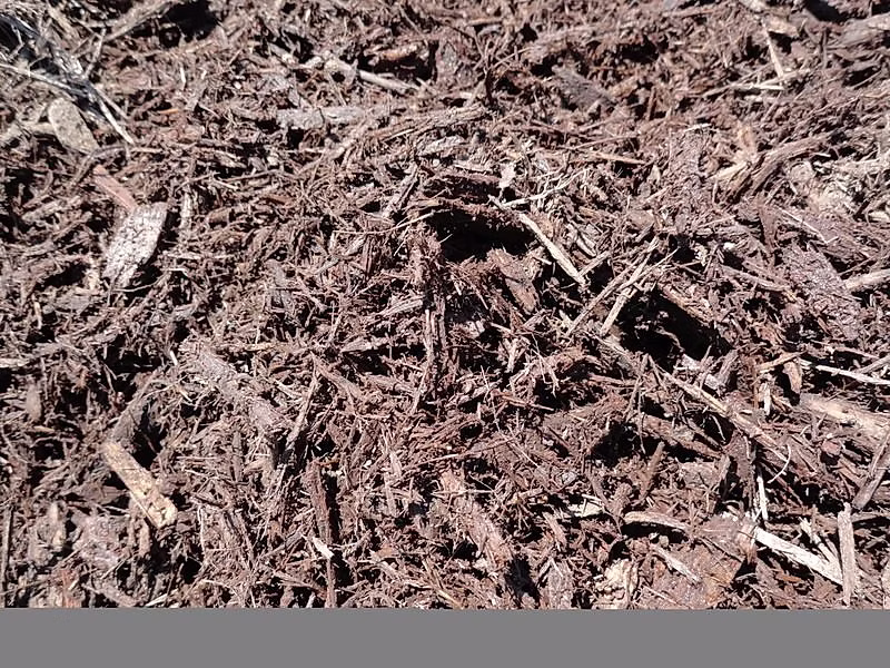 Dark Brown Mulch