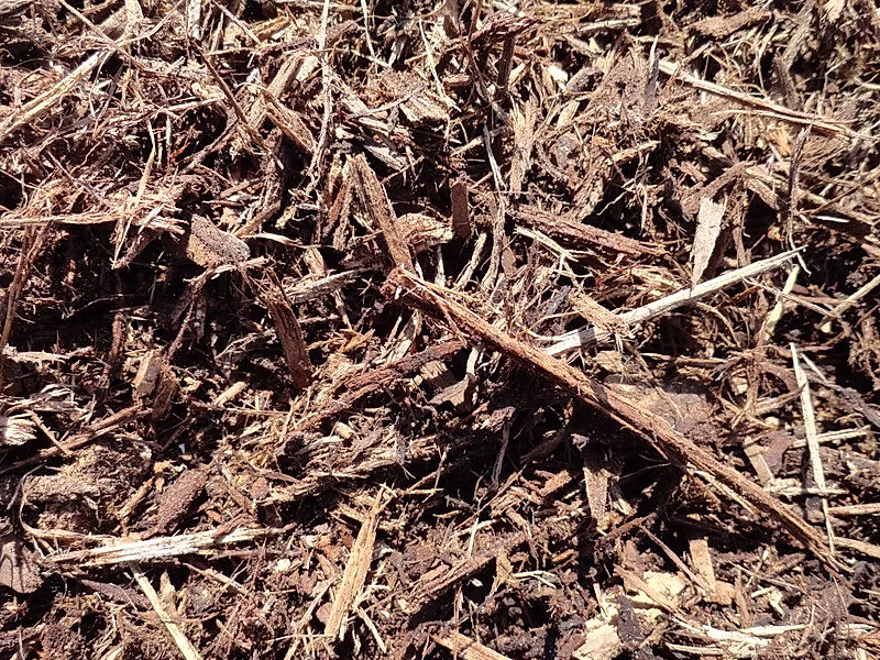 Nature's Choice Mulch
