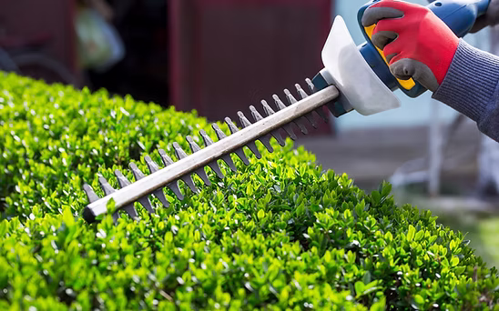 Tree and bush work