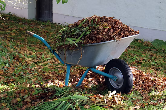 Spring and fall cleanup