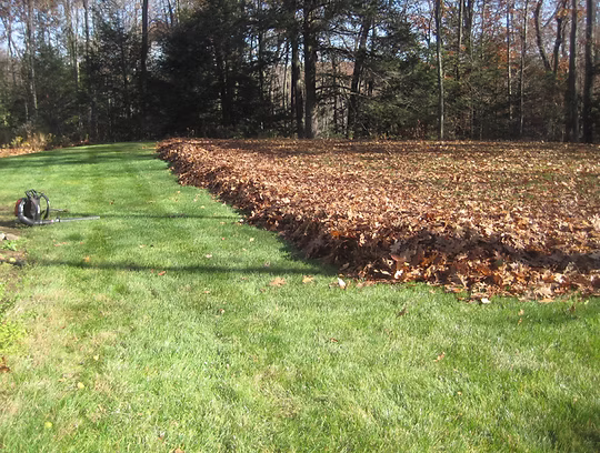 Leaf removal